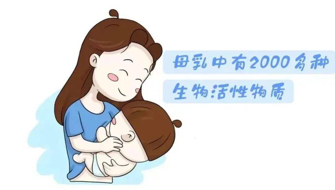 张家口市开展路灯设施集中检修专项行动