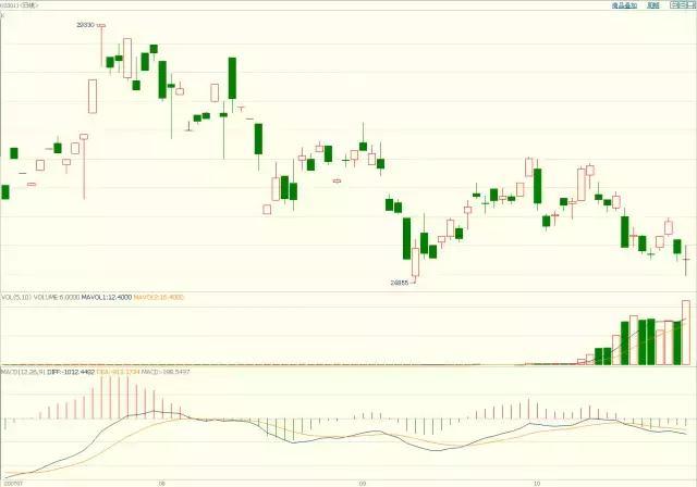 我市多维度拓展“高效办成一件事”业务新场景