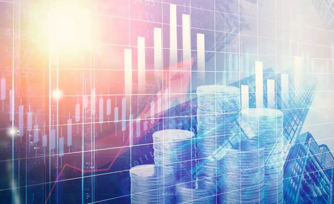 独立候选人纳夫罗茨基赢得波兰总统选举