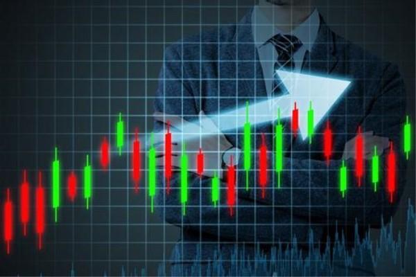 香菜不香?科学家揭秘:害虫也嫌它“有毒”