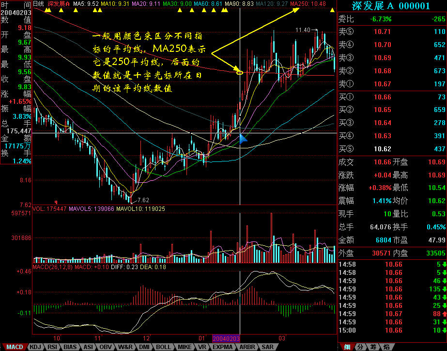 广东湛江：中华白海豚种群稳定 生态保护显成效